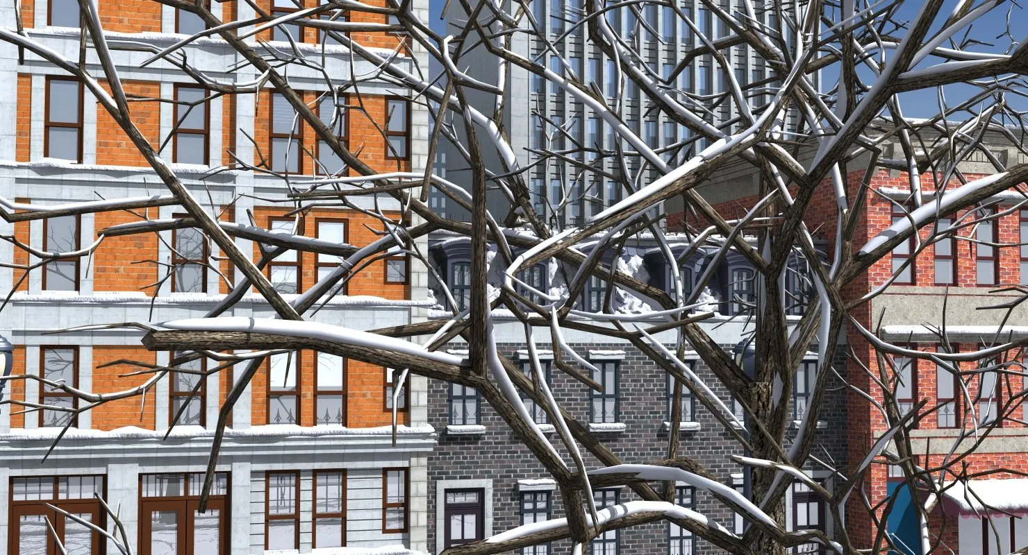 3D Street Day Snow